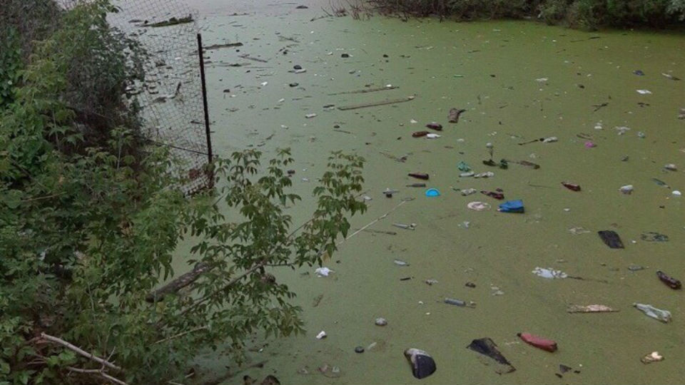 Натуральное болото: жителей Башкирии возмутило отвратительное состояние реки Стерли