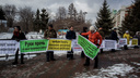 «Руки прочь!»: жители Нижней Ельцовки устроили пикет напротив мэрии