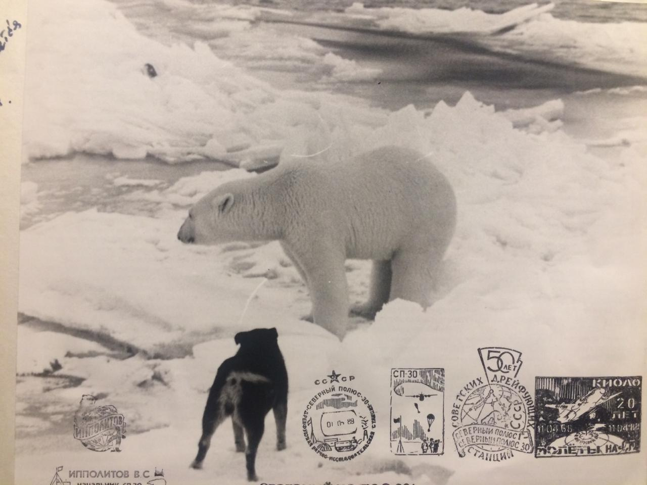 Друг детей и полярников. Одежда советских полярников. Советские плакаты про освоение арктики. Папанинцы. Друг детей и полярников.