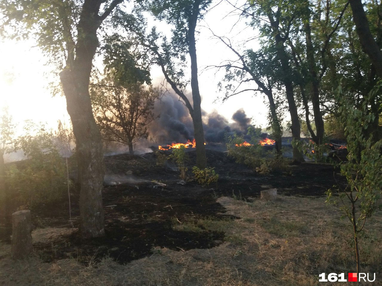 В Усть-Донецком районе от пожара пострадал лес...