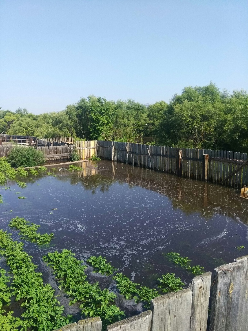 В поселках под Канском затоплены огороды и дачные участки В поселках под Канском затоплены огороды и дачные участки