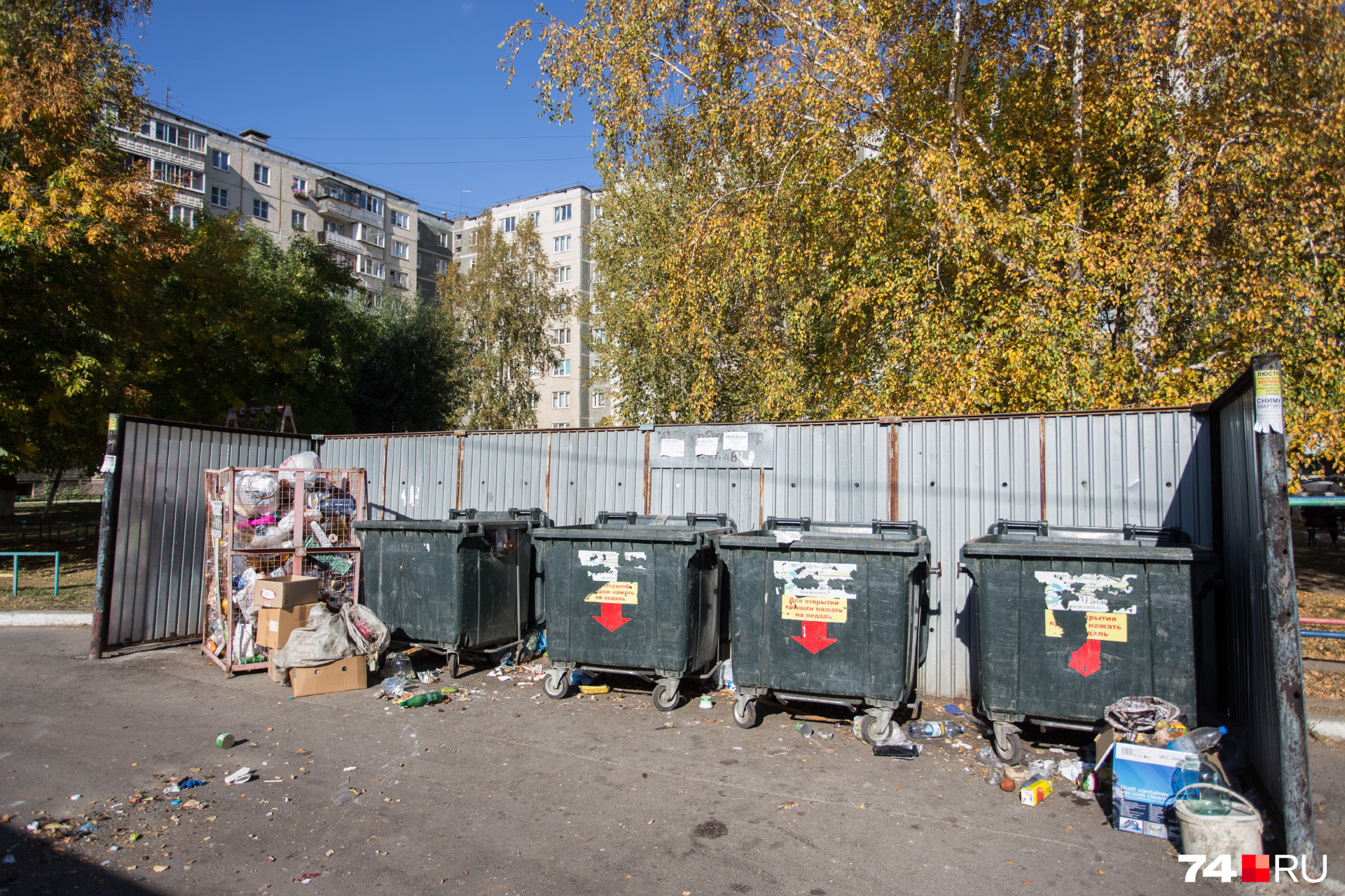 Никаких завалов пакетов, крыс и зловония, но ведь совсем неважно, где демонстрировать бурную деятельность Никаких завалов пакетов, крыс и зловония, но ведь совсем неважно, где демонстрировать бурную деятельность