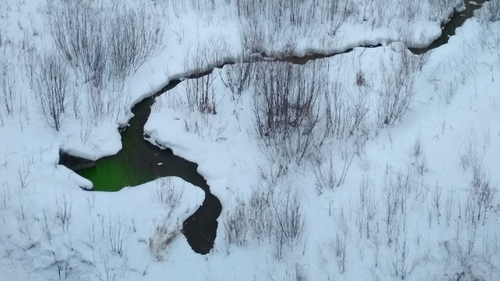 В Перми река Егошиха окрасилась в зелёный цвет. Что произошло?