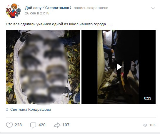 Светлана Кондрашова в числе первых обвинила детей в убийстве щенят
