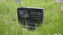 Поминки по Мурзику: челябинцы пожаловались на стихийное кладбище домашних животных