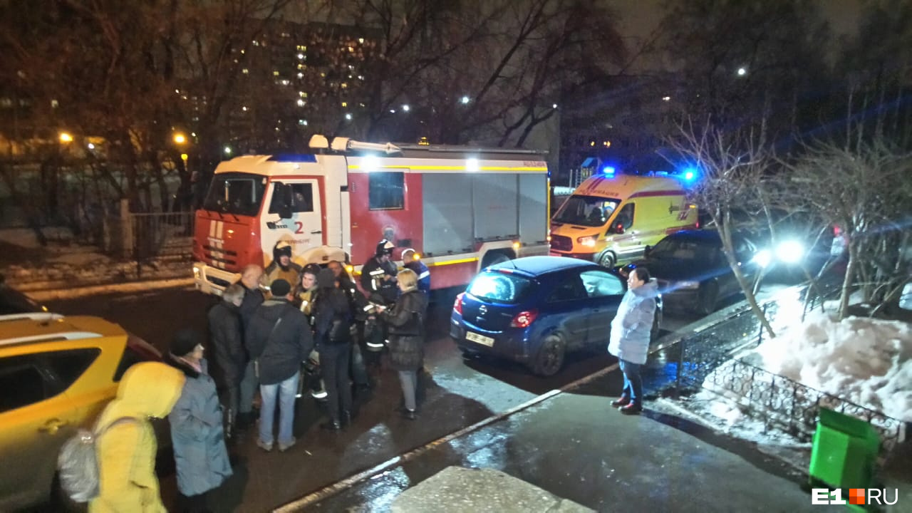 На улицу вывели 24 человека На улицу вывели 24 человека