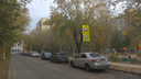 В центре Волгограда ограничили скорость перед несуществующим лежачим полицейским