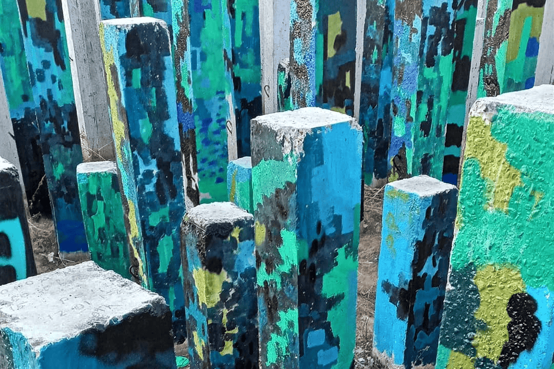 ds