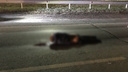 «Он внезапно выбежал на дорогу»: под Самарой водитель «Приоры» насмерть сбил пешехода