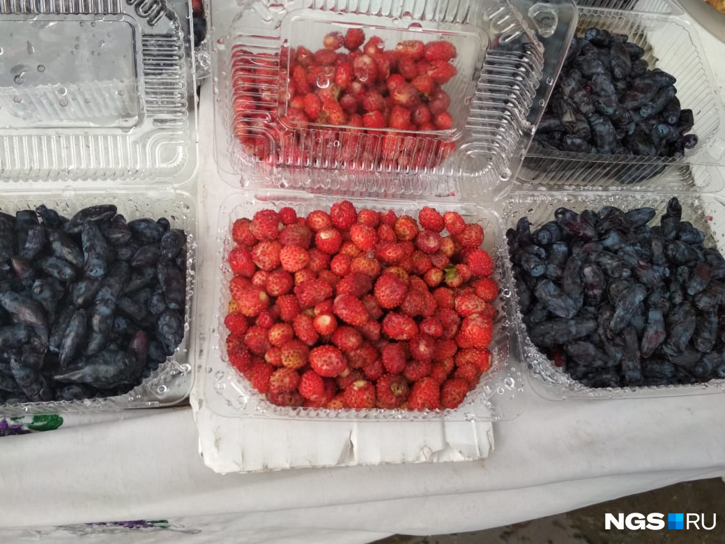Урожай лесной ягоды с Алтая обойдётся уже по 100 рублей за лоток