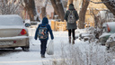 Чтобы не отморозили носы: в школах Челябинска из-за холодов отменили уроки
