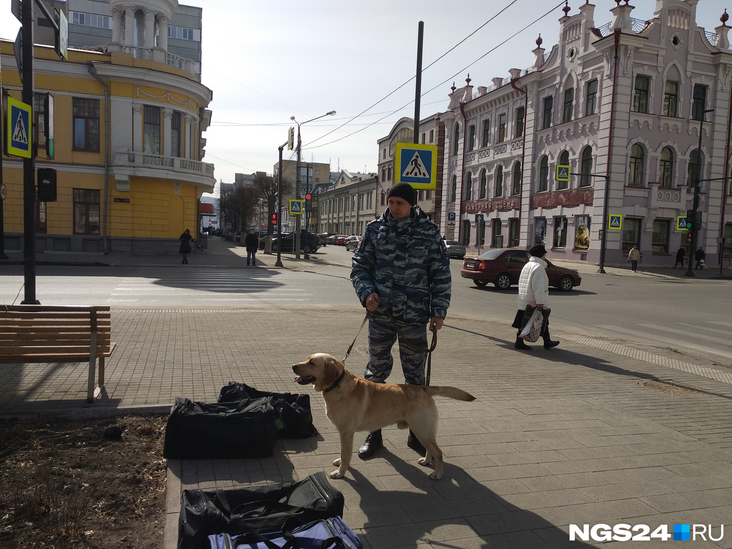 Сотрудник кинологической службы рассказал, что совсем недавно он и его пёс вернулись из командировки на Кавказ
