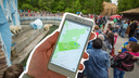 Мобильное приложение Новосибирского зоопарка вернули в App Store и Google Play