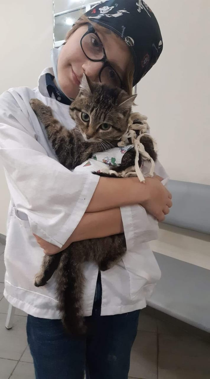 Младший сын Егор — кошатник со стажем Младший сын Егор — кошатник со стажем
