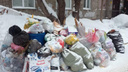 Утонули в мусоре: новосибирцы продолжают жаловаться на горы отходов во дворах