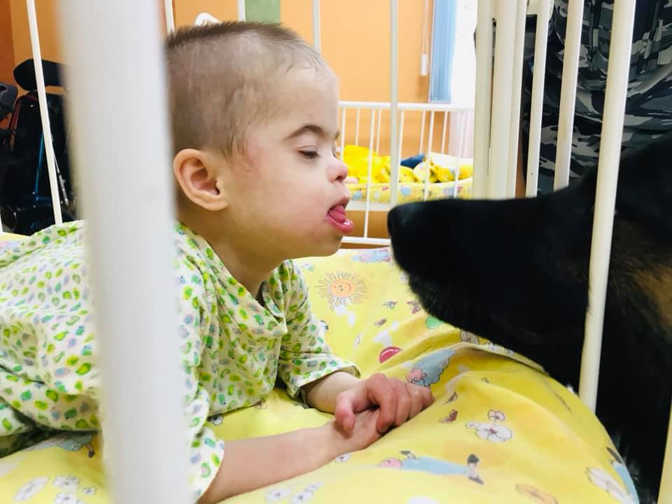 Эта малышка впервые в жизни увидела собаку