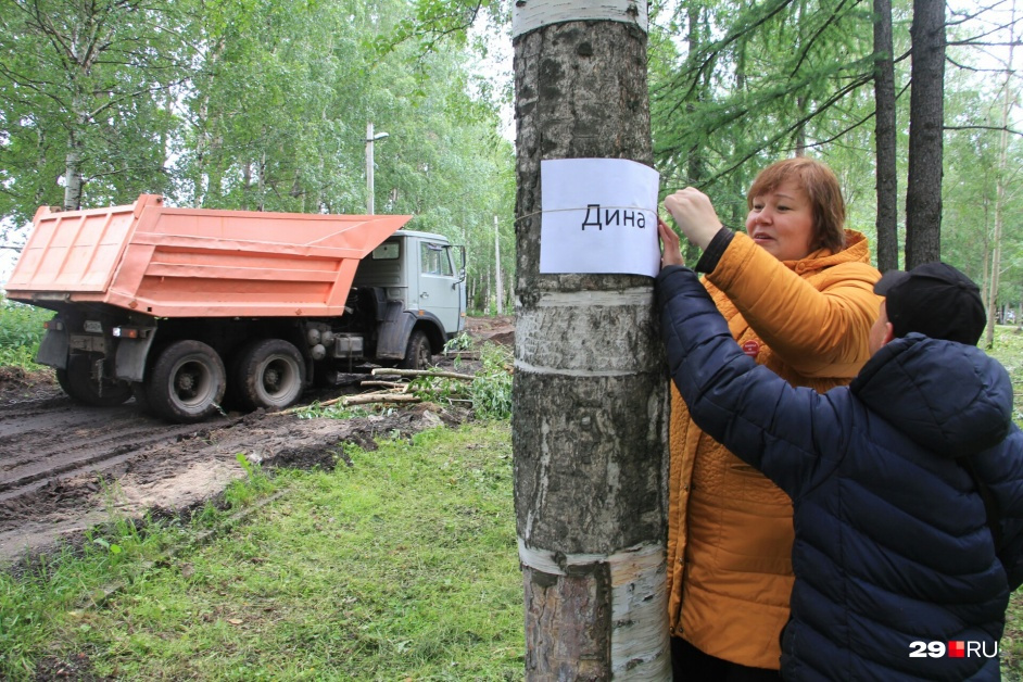 Чтобы сохранить деревья в парке на улице Галушина, активисты решили наклеить на них человеческие имена