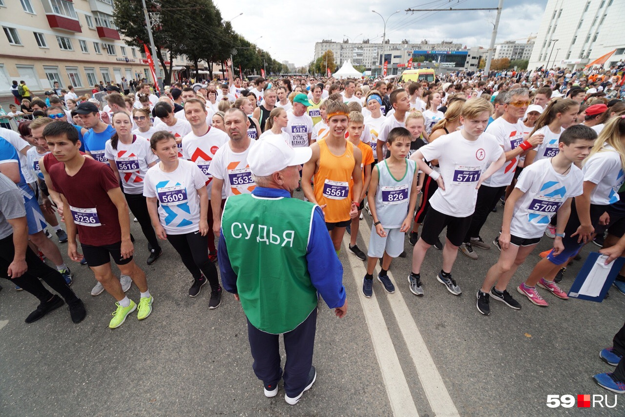 Судья — всегда за порядок Судья — всегда за порядок