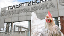 Имущество «Тольяттинской птицефабрики» выставят на торги