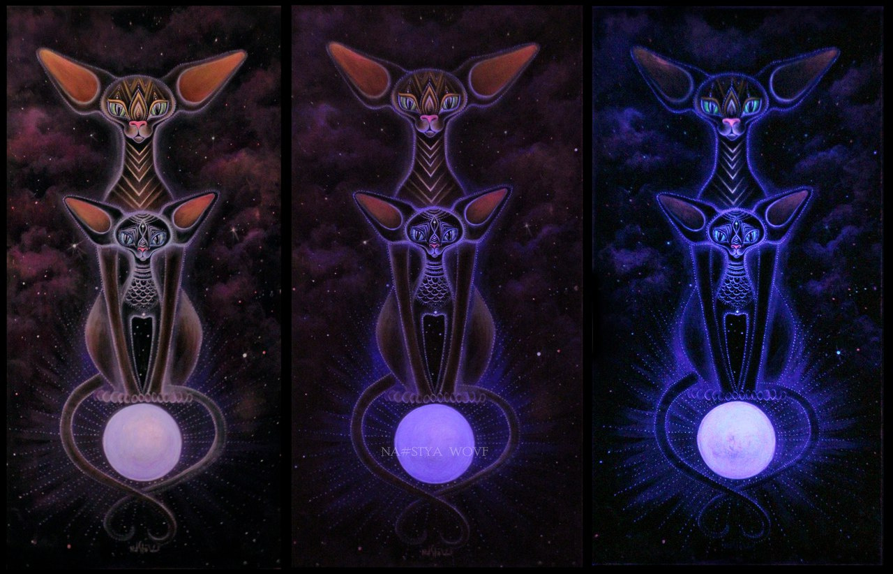 «Флуоресцентные лунные котики»  (2015 год)