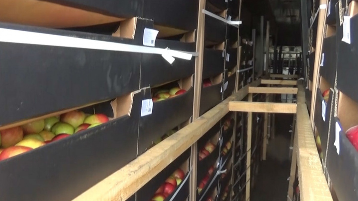 Европой пахнет: таможня отправила 214 тонн задержанных в Троицке яблок обратно в Казахстан
