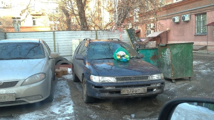 «Никому же не мешает»: на капот припарковавшегося возле баков авто кинули мешок с мусором