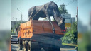 Ход конем: ростовские СМИ поспешили сообщить о возвращении фигур лошадей на прежнее место
