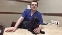 Новосибирские врачи спасли спаниеля Линду с врождённым пороком сердца