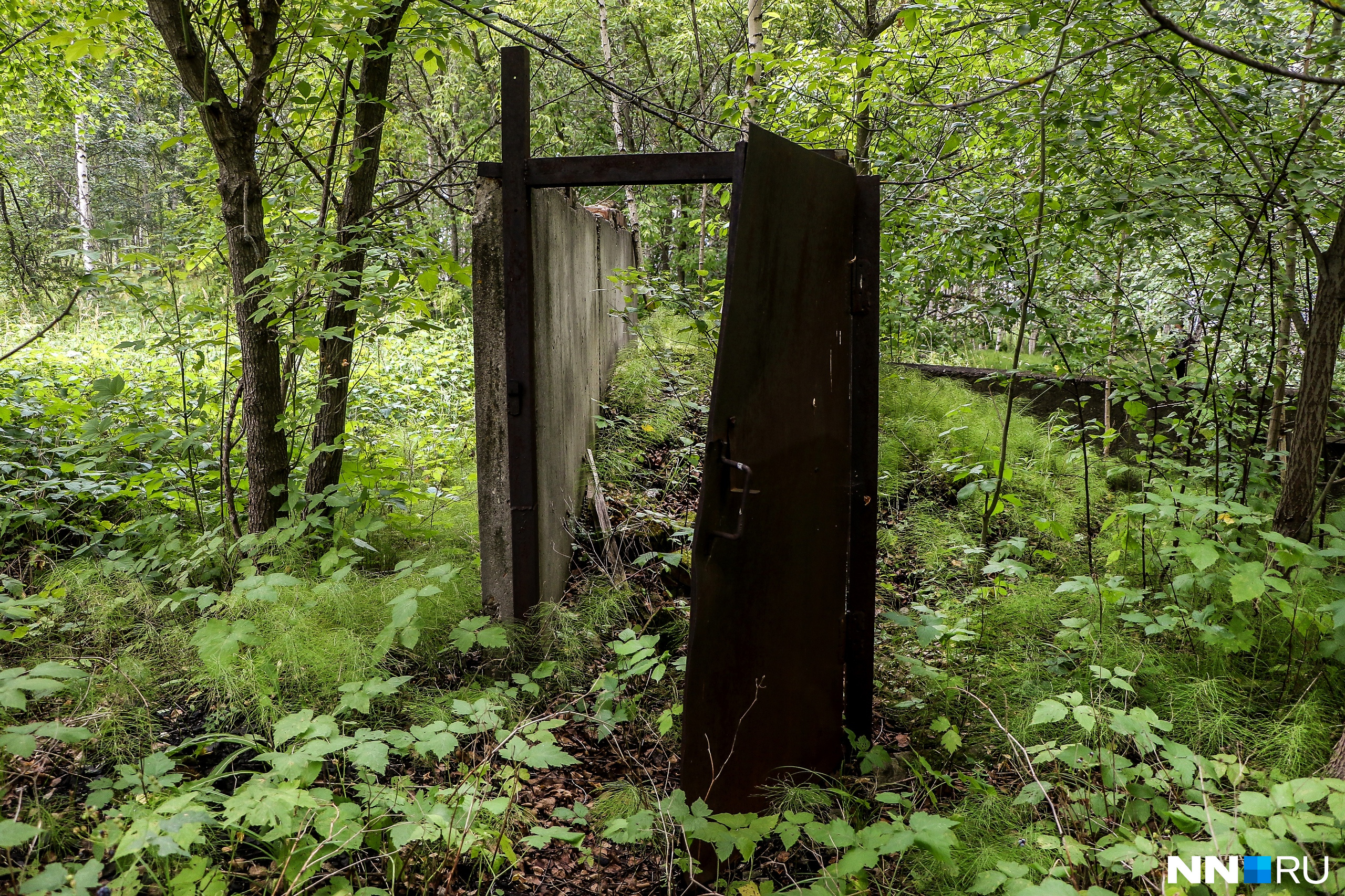 Дверь, стоящая посреди леса, выглядит одновременно эффектно и зловеще<br><br>