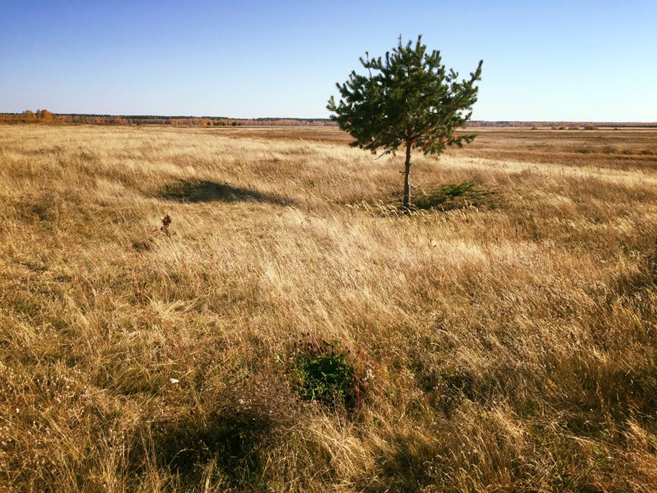 Савин курганская область святилище фото