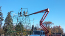 Праздник уже близко: возводить главную городскую елку начали в Ростове