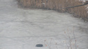 В Кургане женщина спасла рыбака, провалившегося под лед