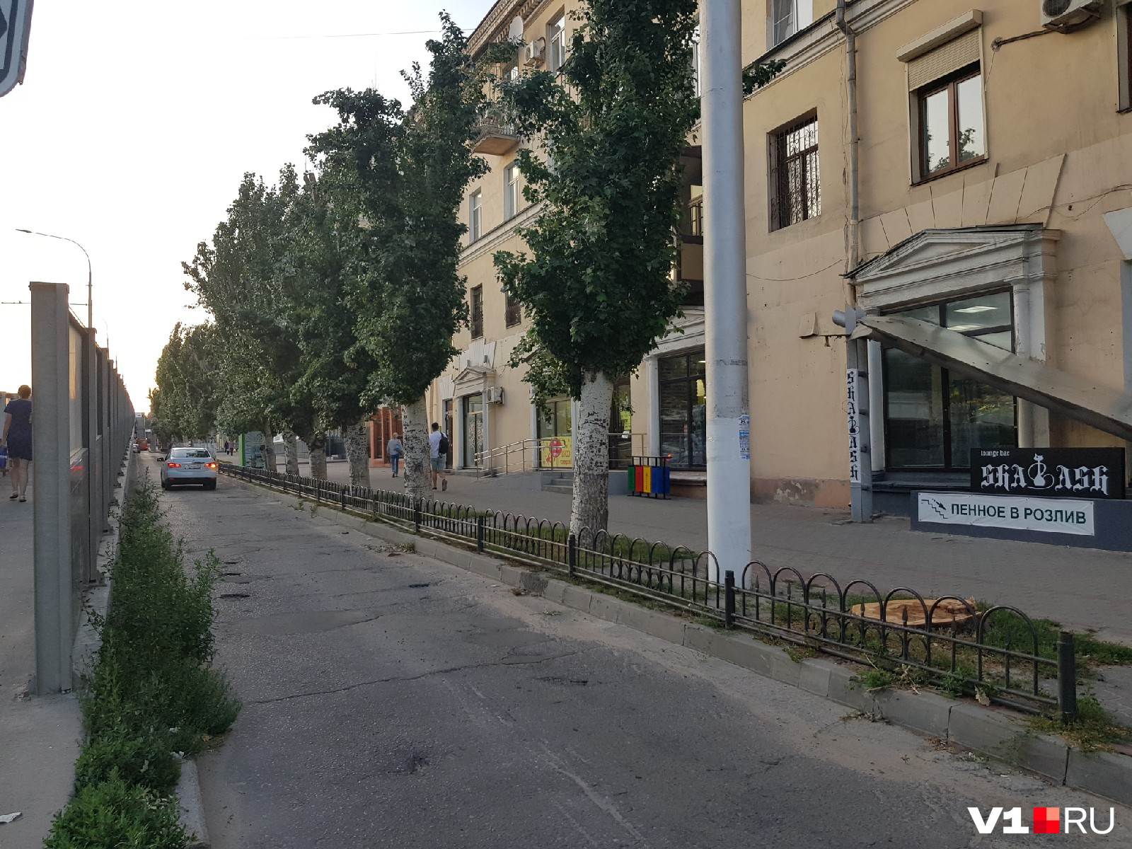 Некоторые деревья уцелели Некоторые деревья уцелели