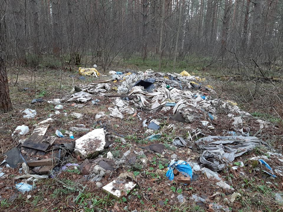 В лесу — мусорные поля В лесу — мусорные поля