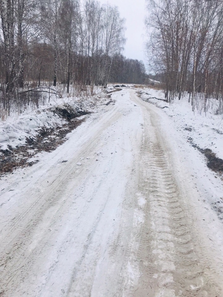 Альтернативный путь до аэропорта пролегает через лес Альтернативный путь до аэропорта пролегает через лес