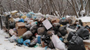 «Вот так и живём»: новосибирцы продолжают жаловаться на плохую уборку мусора