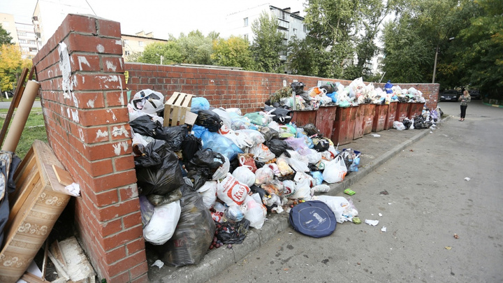 «Зашли в тупик»: уволенный директор «ГорЭкоЦентра» рассказал о причинах мусорного коллапса