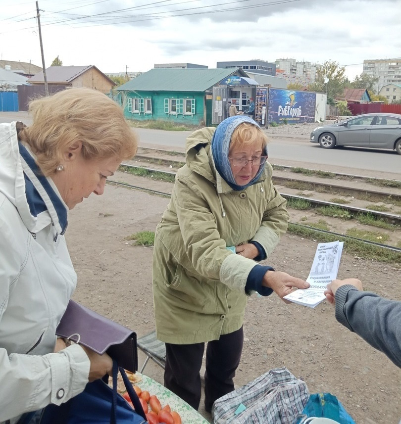 Елена Олюнина: «Общаемся с дачниками и в черте города — на остановках и у садоводческих магазинов» Елена Олюнина: «Общаемся с дачниками и в черте города — на остановках и у садоводческих магазинов»