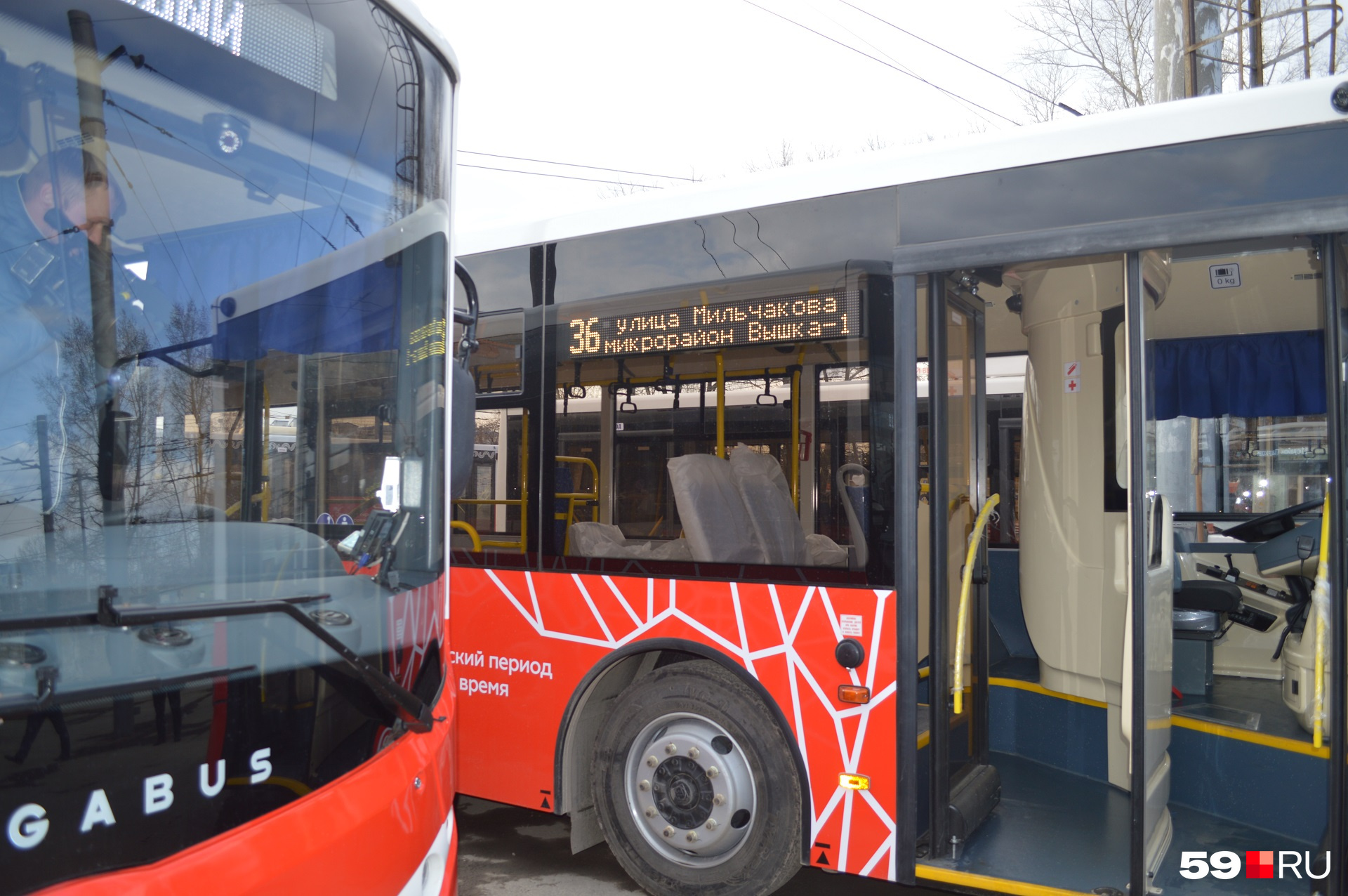 Эти новенькие автобусы будут видеть не только жители центральных районов