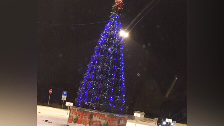 Сверкает огнями, укутанная в гирлянду: в Тюмени установили и нарядили первую новогоднюю ёлку