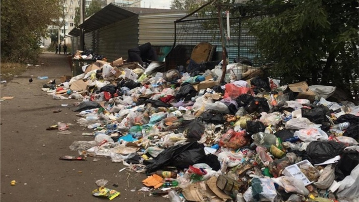 «Мэр нагло врет»: жители «Черемушек» опровергли слова Ерёмина о помощи в вывозе мусора