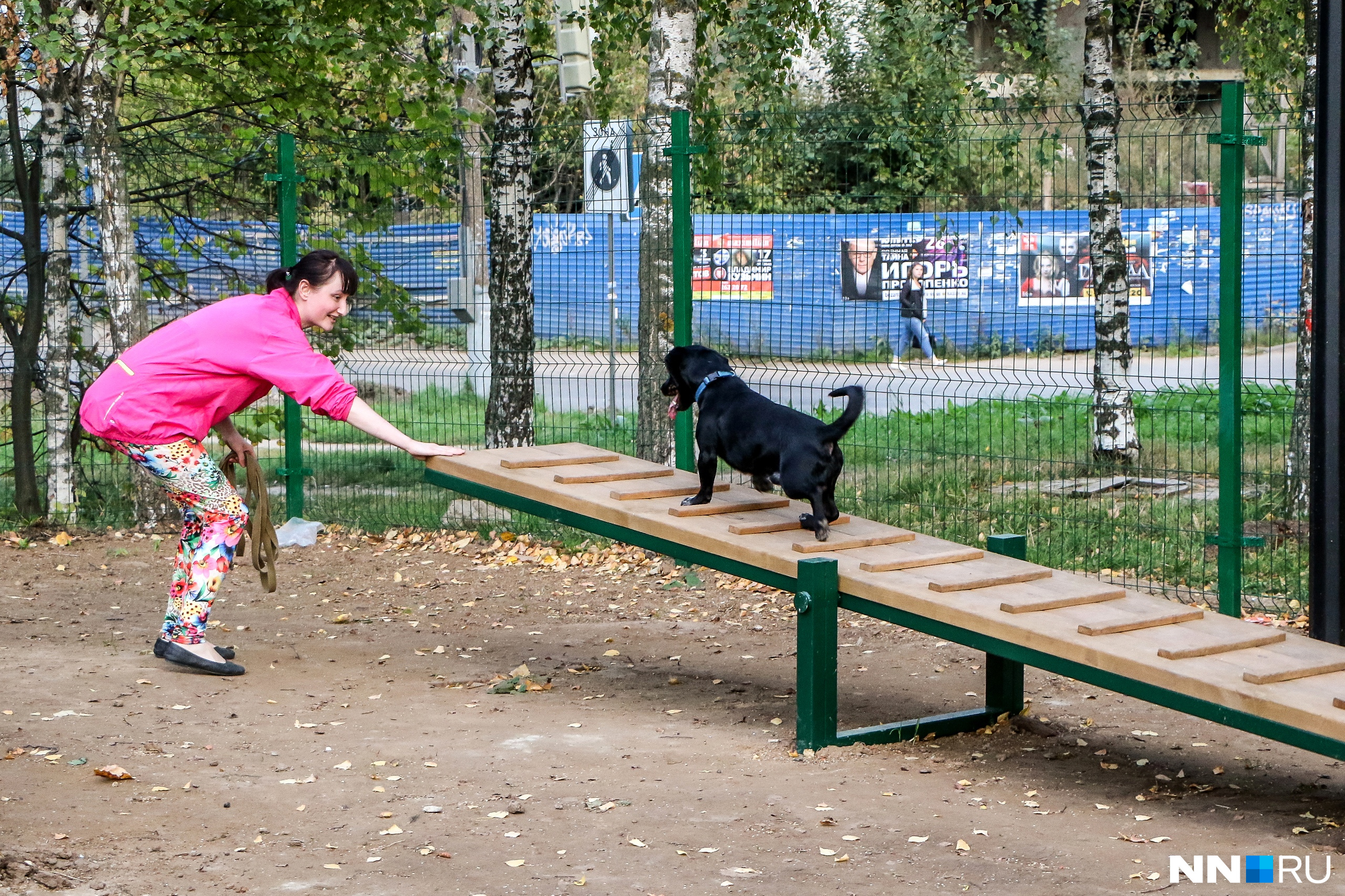 Площадки для собак в москве