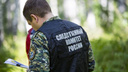 Следователи Новосибирска начали проверку после группового избиения школьника