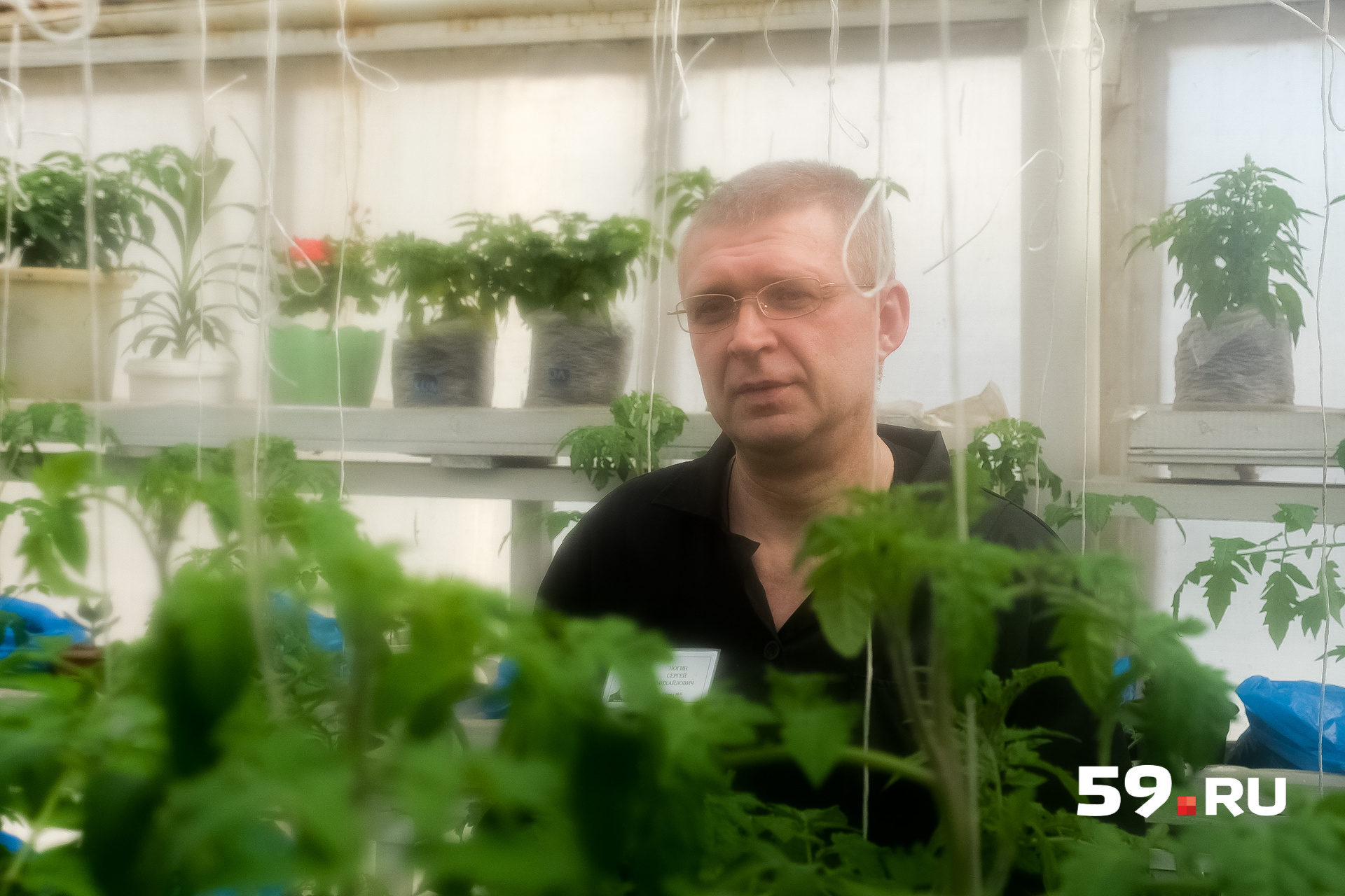 Сергей выращивает здесь овощи, по образованию осужденный — агроном