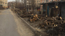 «Жители в недоумении»: рядом с частным детсадом на Сибиряков-Гвардейцев вырубили все деревья