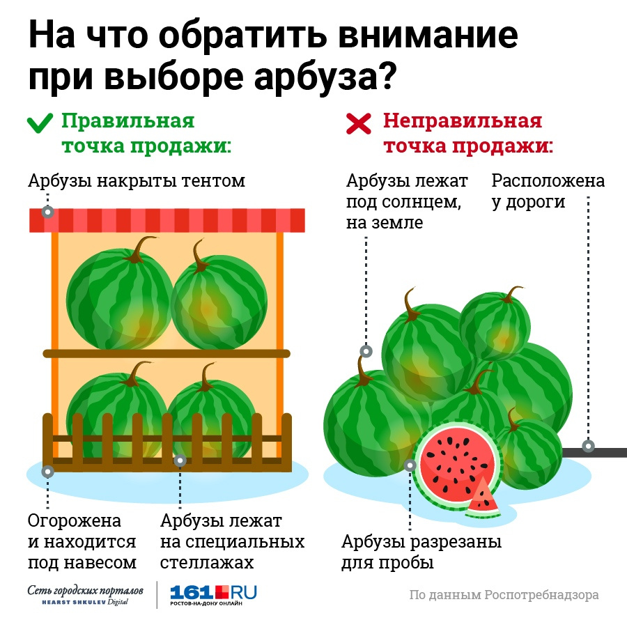 Какие вещества содержатся в объектах изображенных на остальных рисунках арбуз