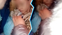 Девочку нашли без сознания, на её след вышла собака: подробности поисков 10-летней Алёны в Карасуке