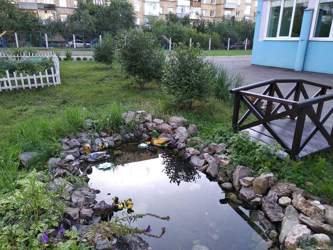 Красивые уточки теперь живут в пруду около детского сада
