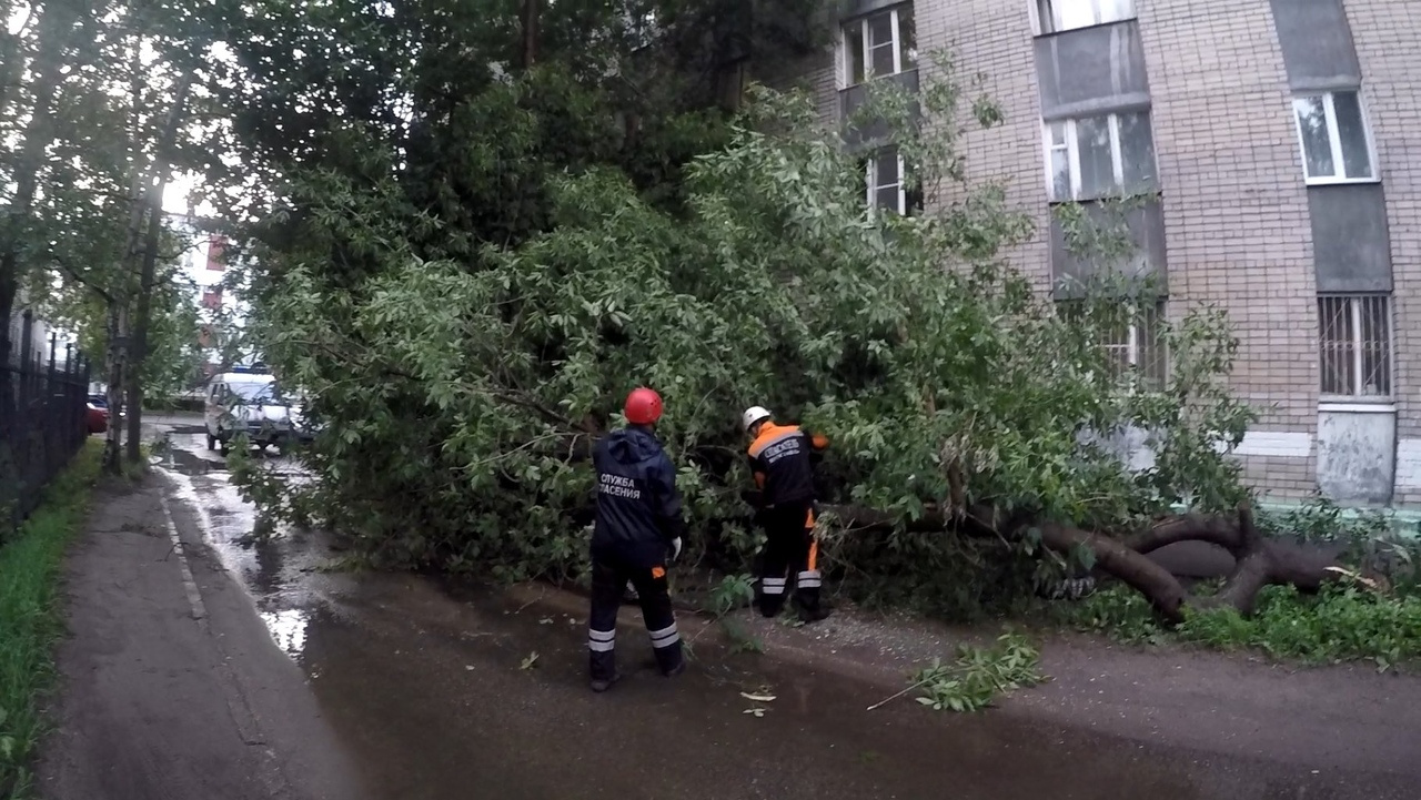 К счастью, обошлось без пострадавших К счастью, обошлось без пострадавших