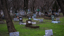 На борьбу с грызунами на ростовских кладбищах власти города потратят 700 тысяч